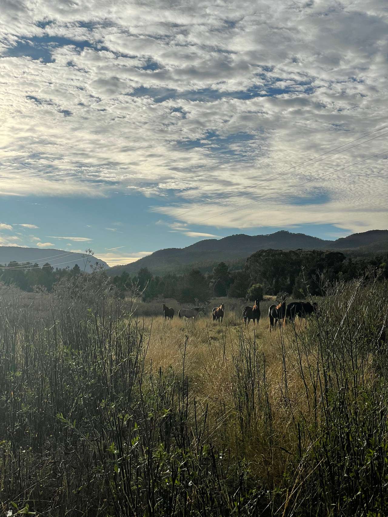 The Valley