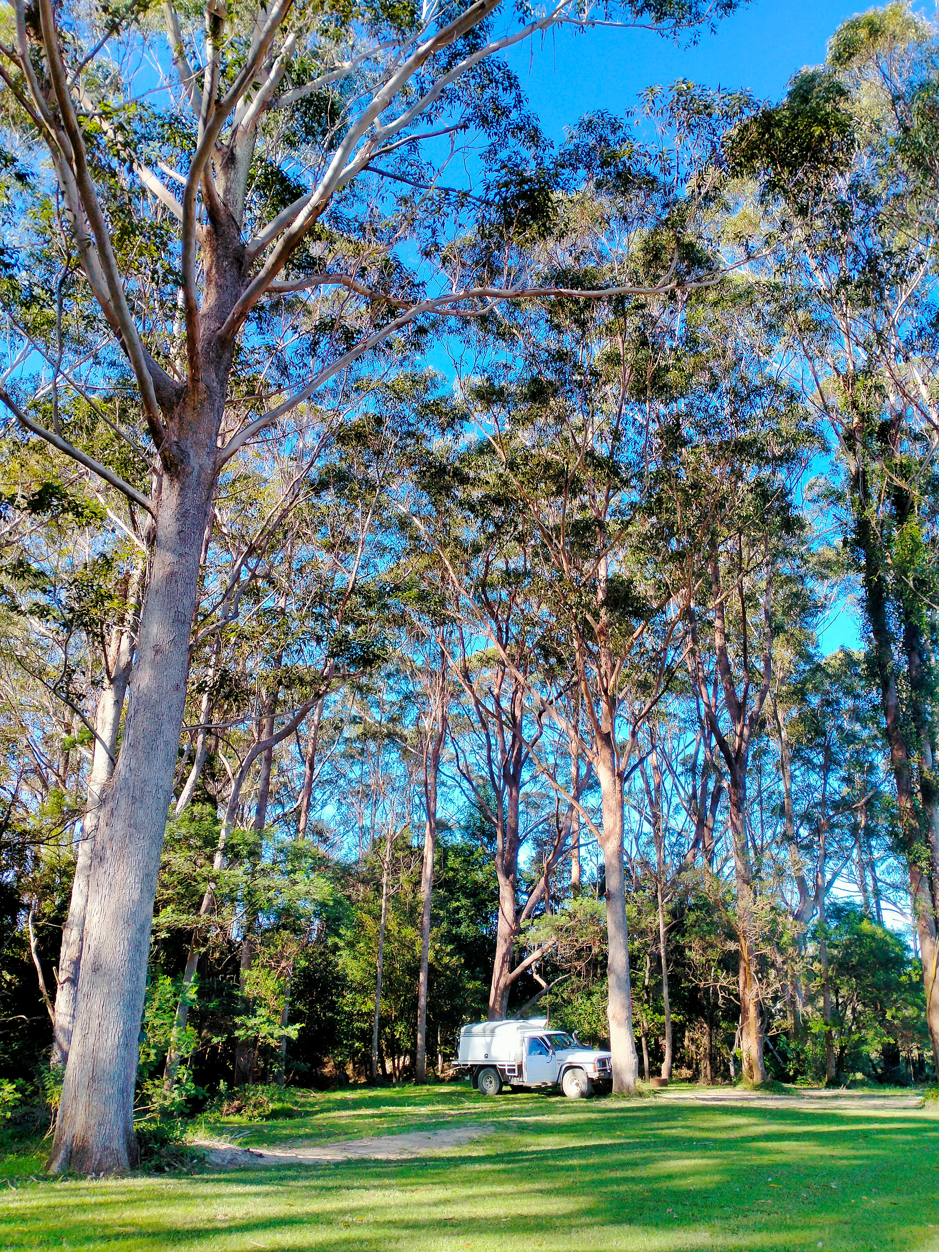 Where we camped