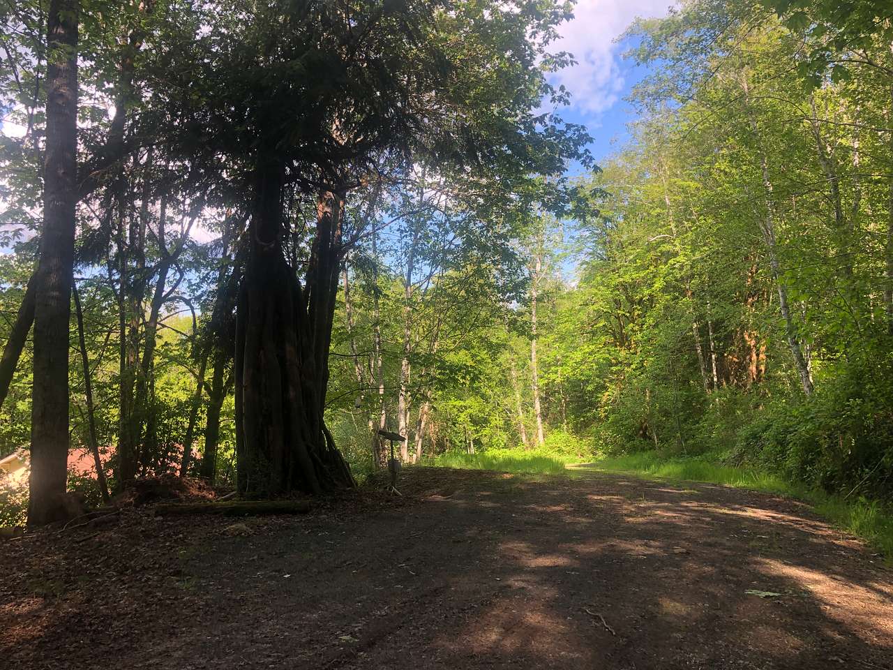 Site 2 