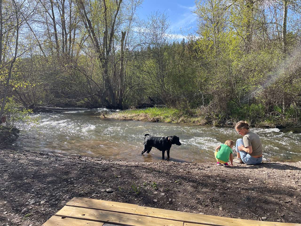 Family and pet friendly.. there is something for everyone to enjoy at the Holmestead!