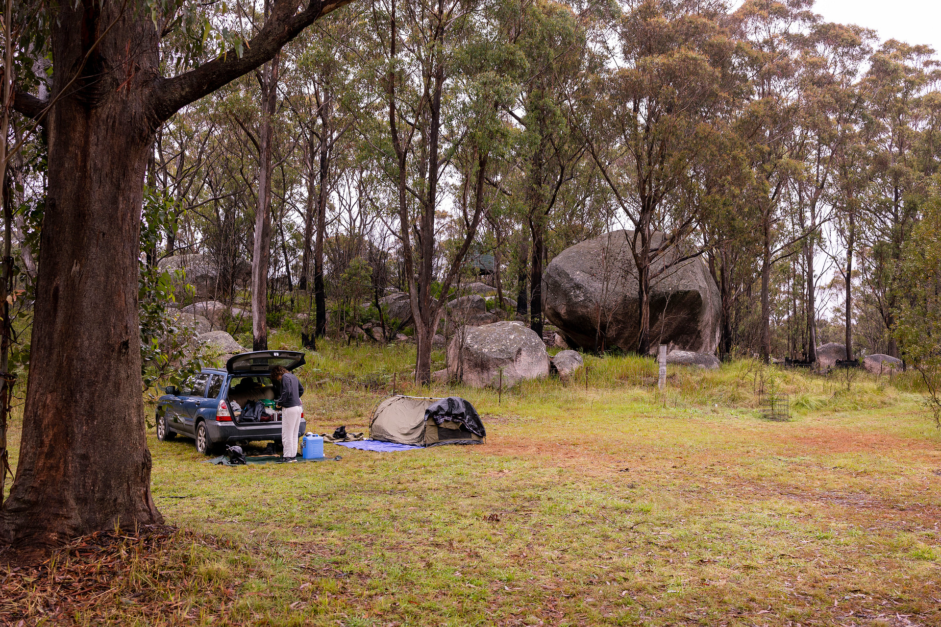 Some of many boulders around.