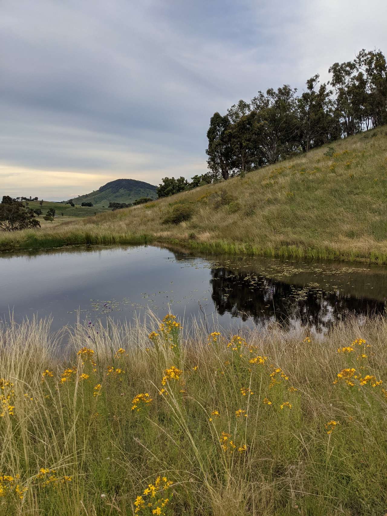 Your campsite view
