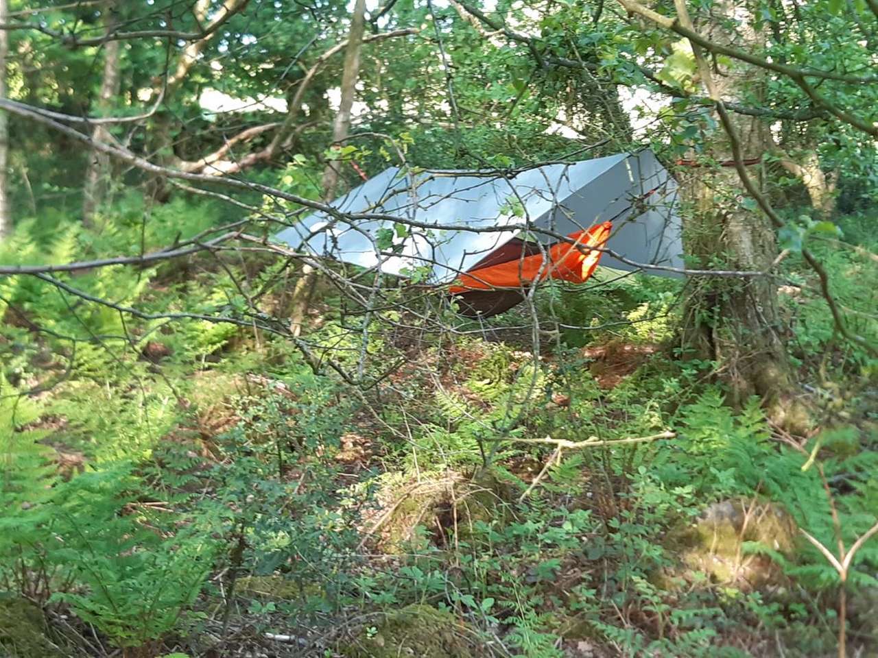Hammocking in Wudu wood