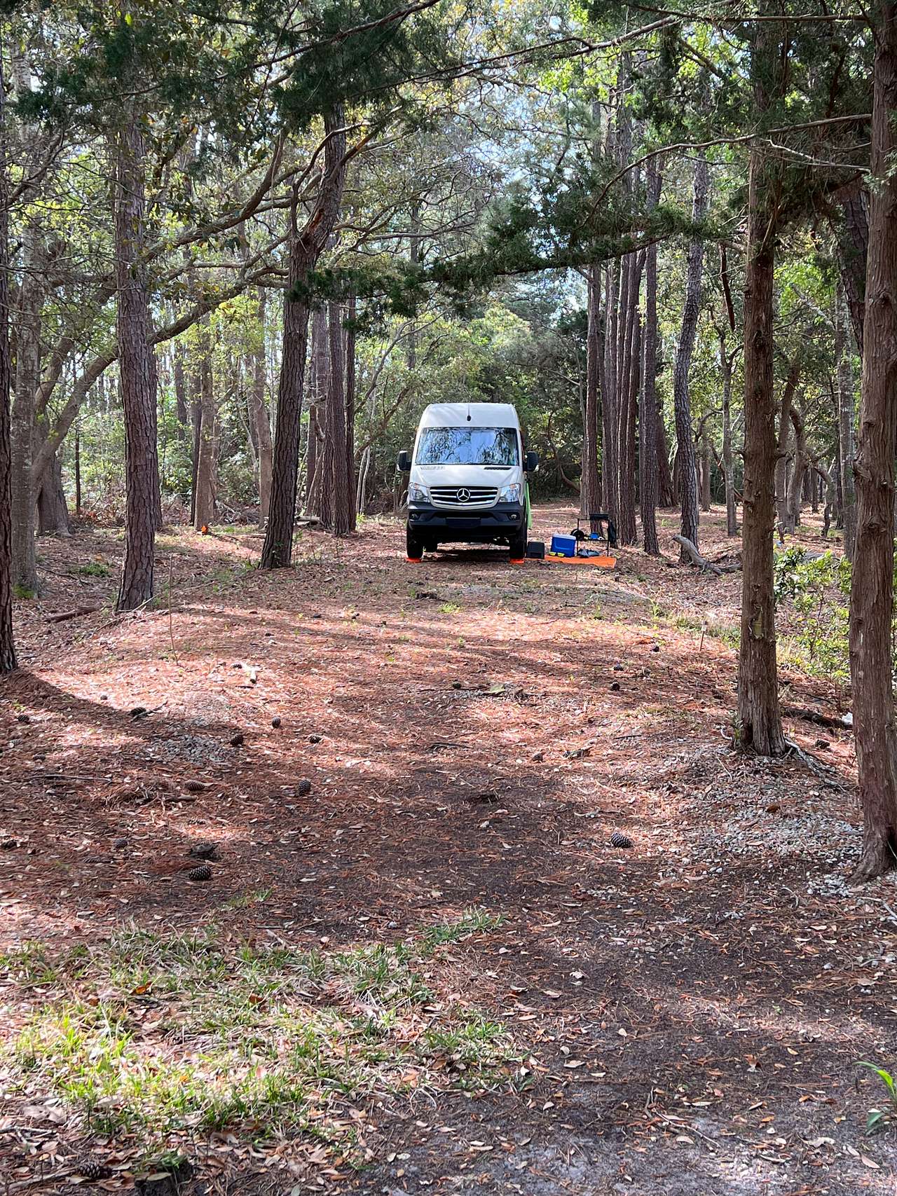 The Crystal Coast Preserve!