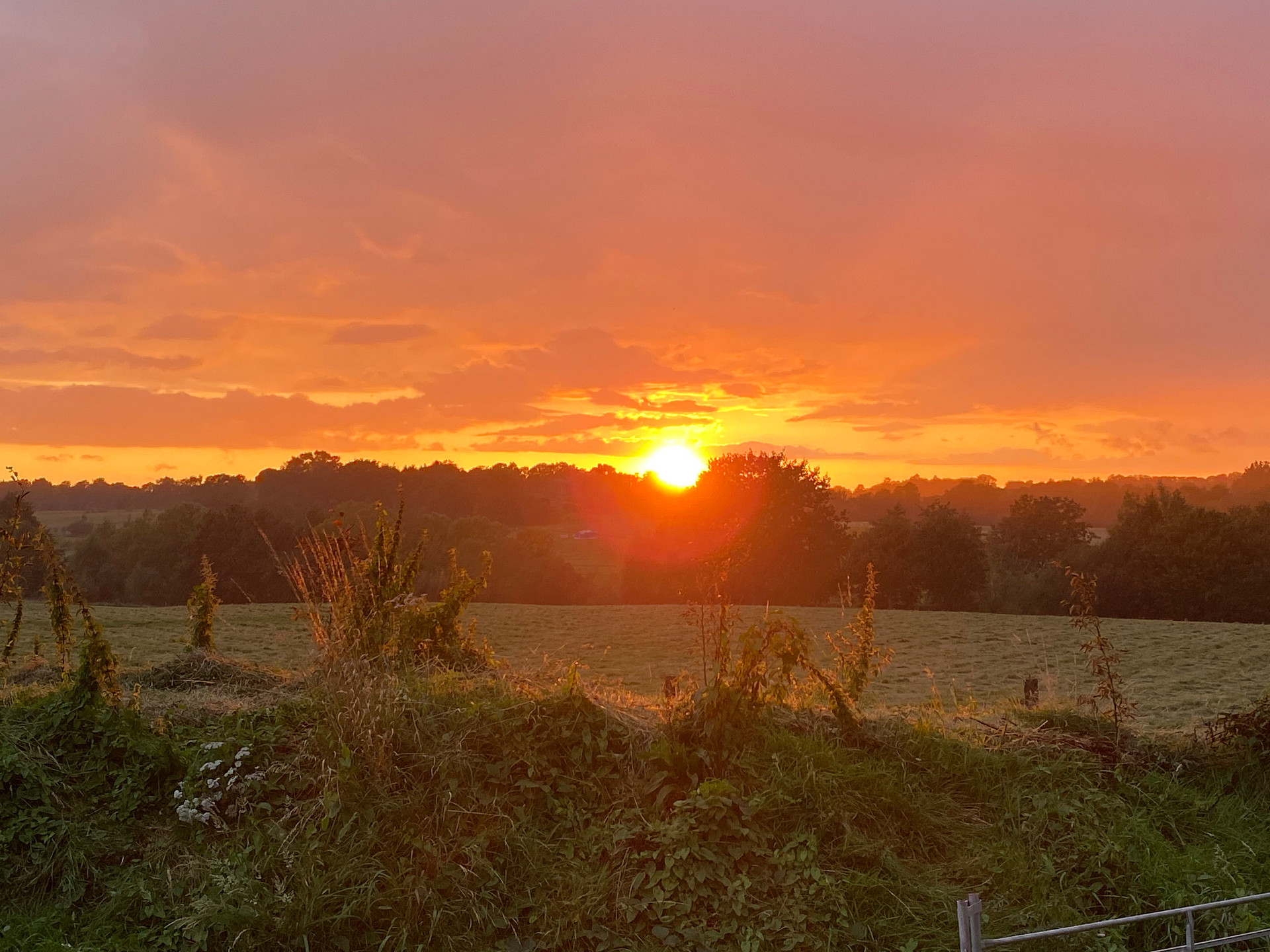Camping at Tomkins Farm