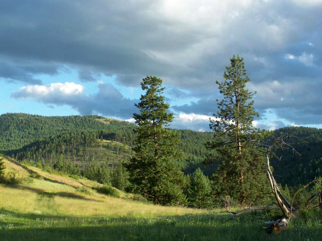 Highland Glenn Ranch