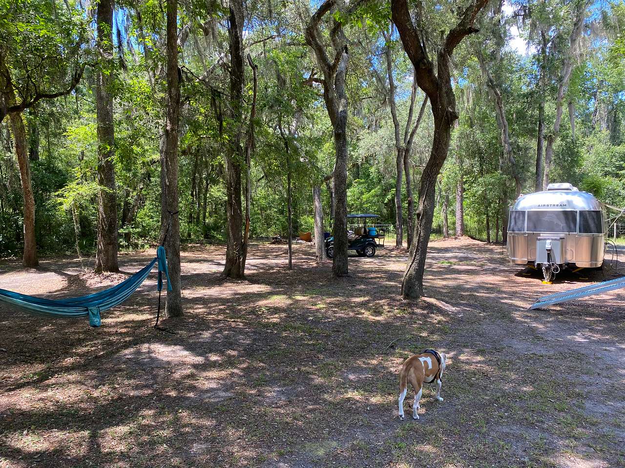 Full 50amp and water hookups with wide open space 