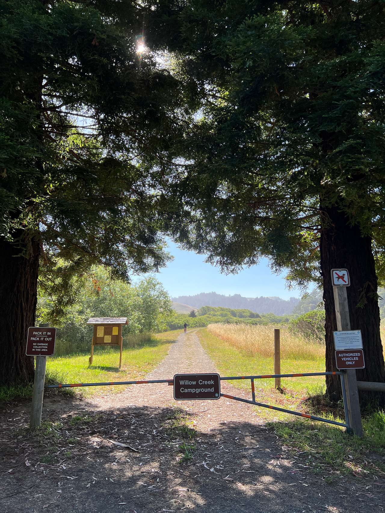 Entrance to the campground from the carpark, flanked by beautiful Redwoods.