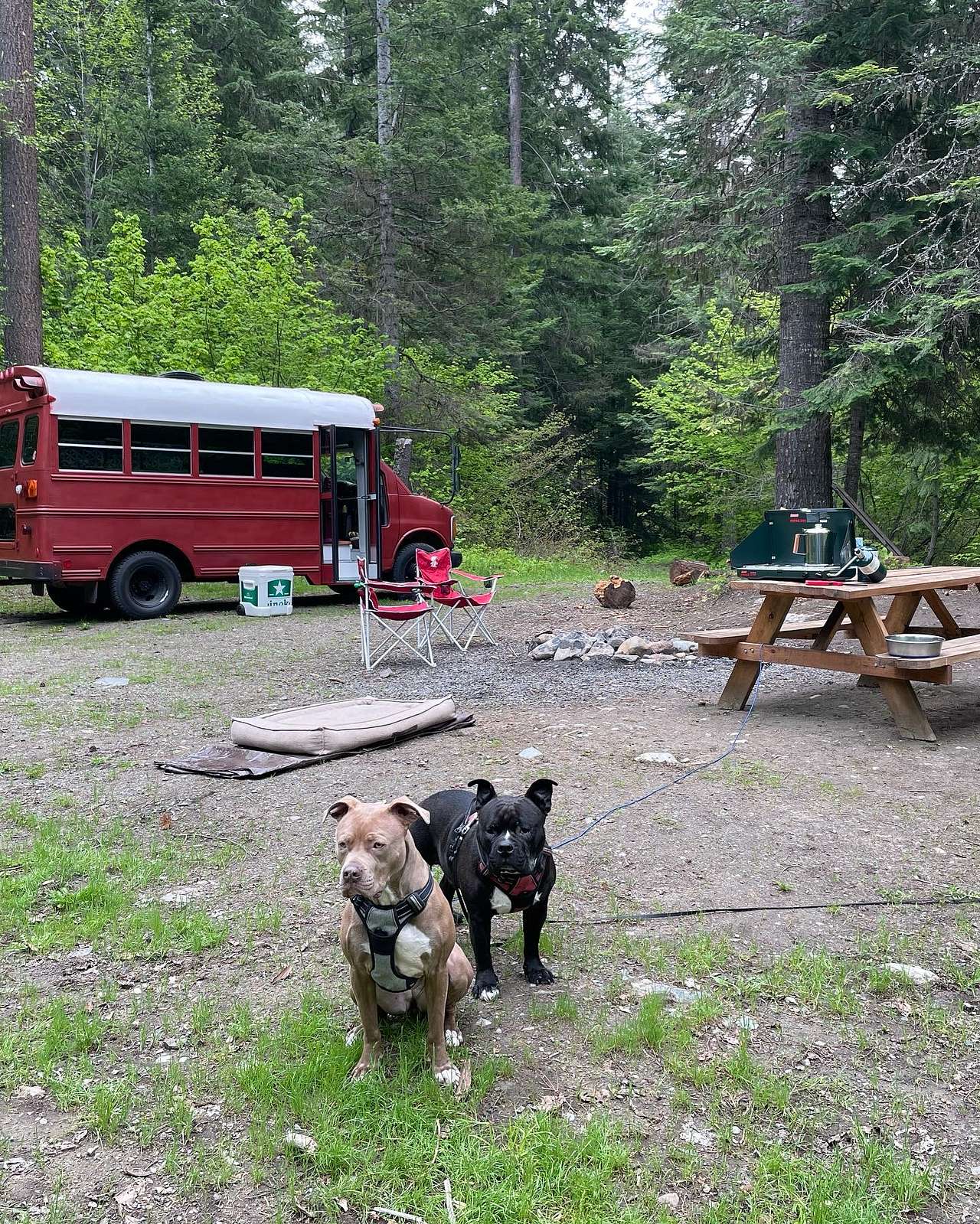 Spring Creek Getaway -Lake Cle Elum