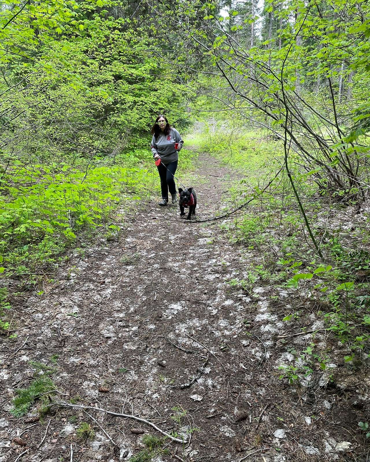 Spring Creek Getaway -Lake Cle Elum