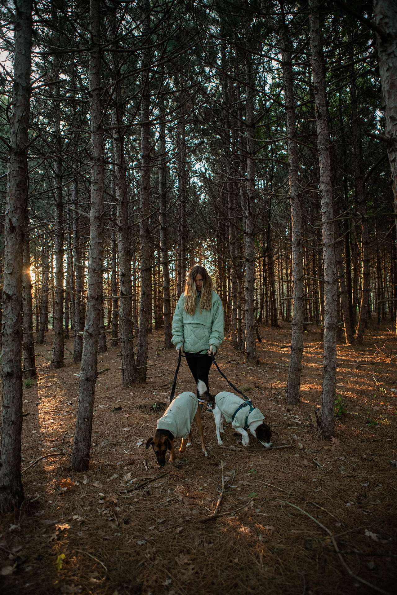 There is a beautiful line of trees that we loved walking through! The sun shines through it beautifully in the morning.