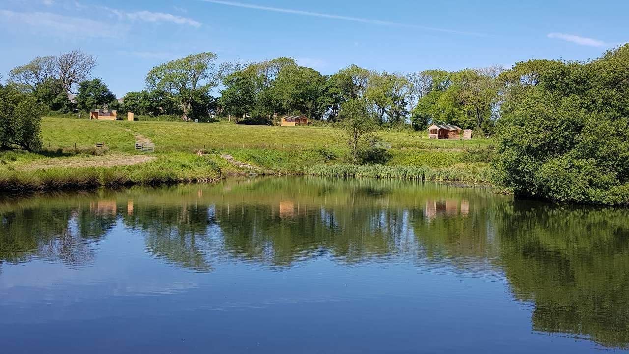 Upper Scolton Camping