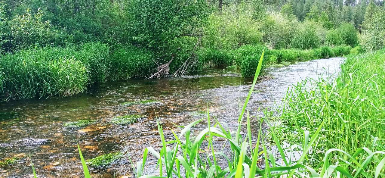 Creekside Camping 509