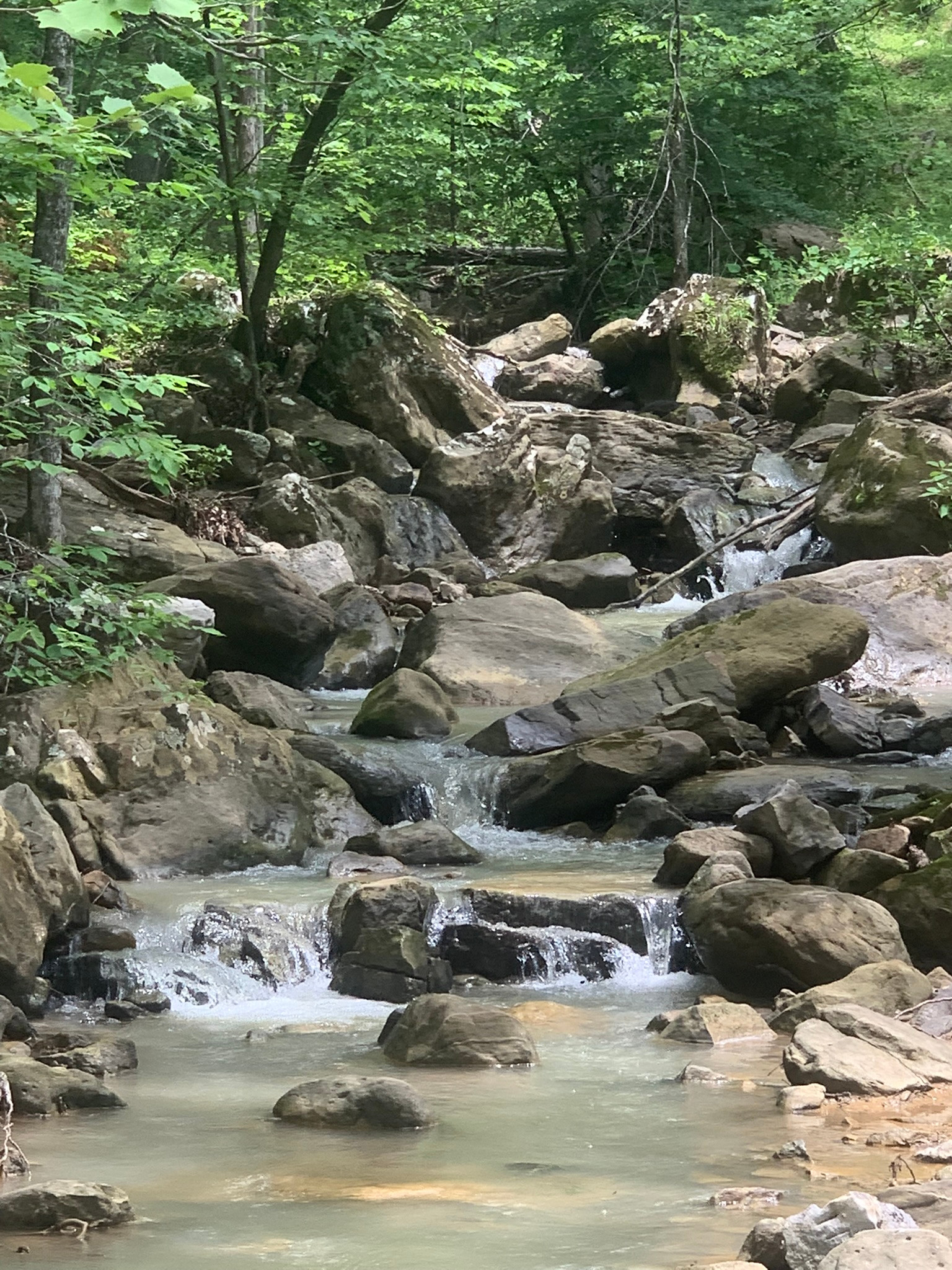 Enchanted Ozark Fairytale Camp