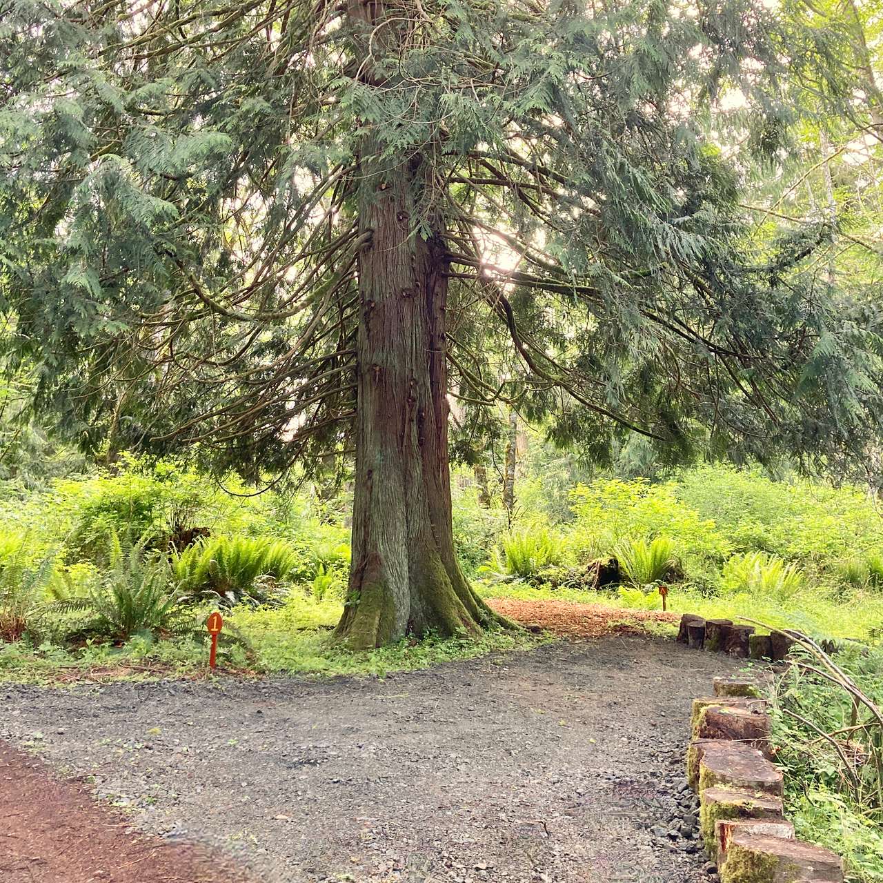 Site #1