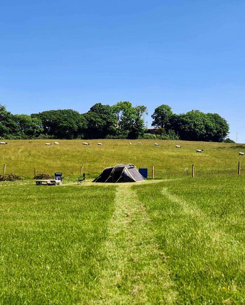South Hoggs Hideaway