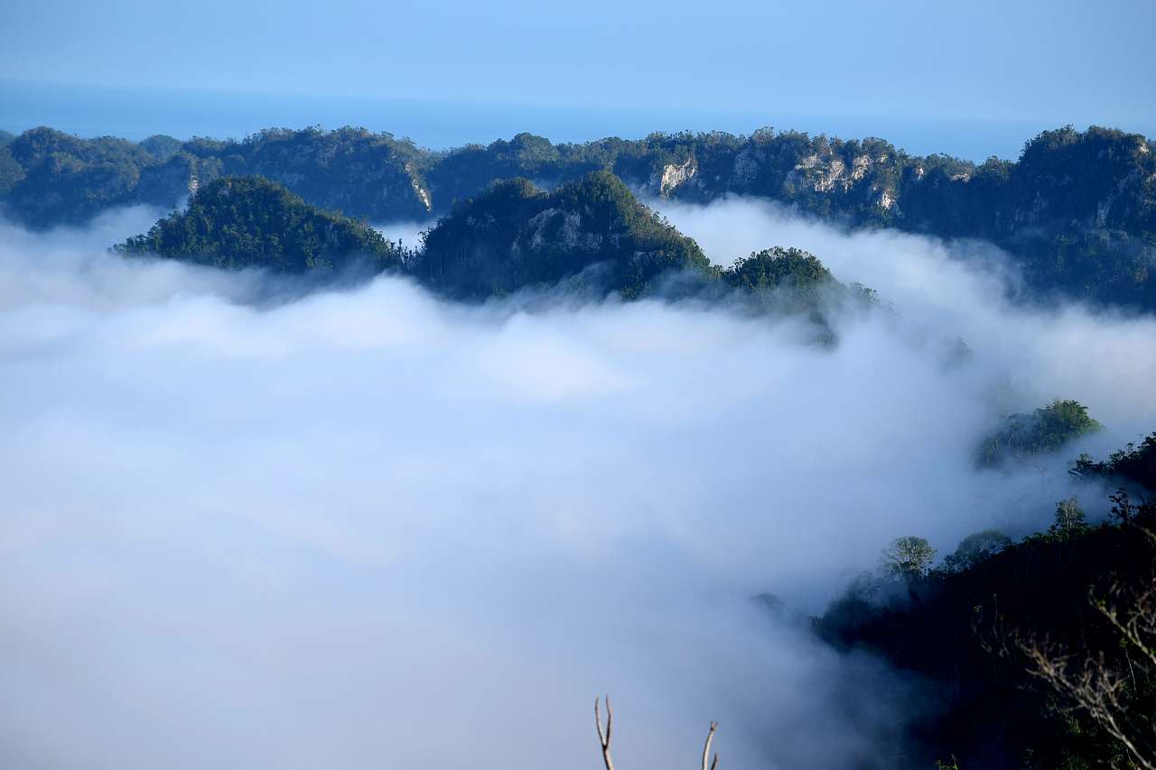 Rainforest Campground & Glamping