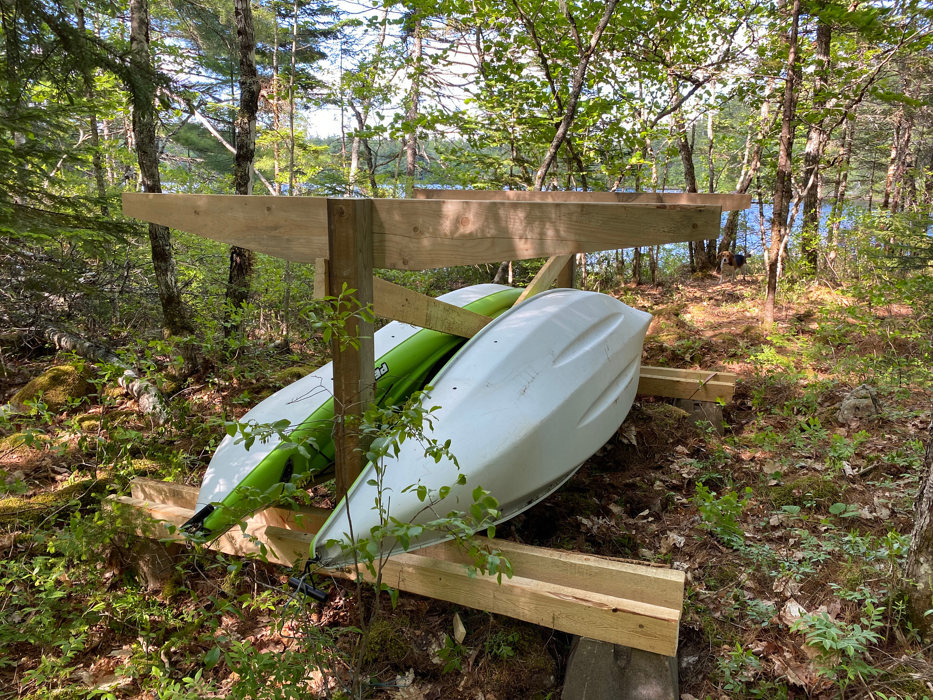 Owl's Hollow Eco-Therapy Glamping