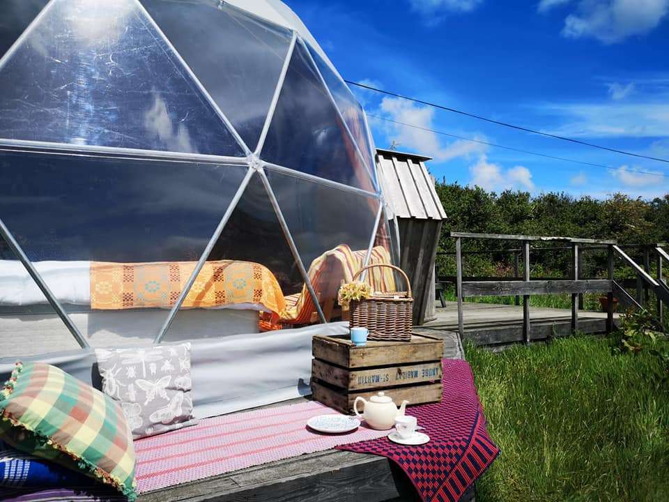 Koa Tree Camp