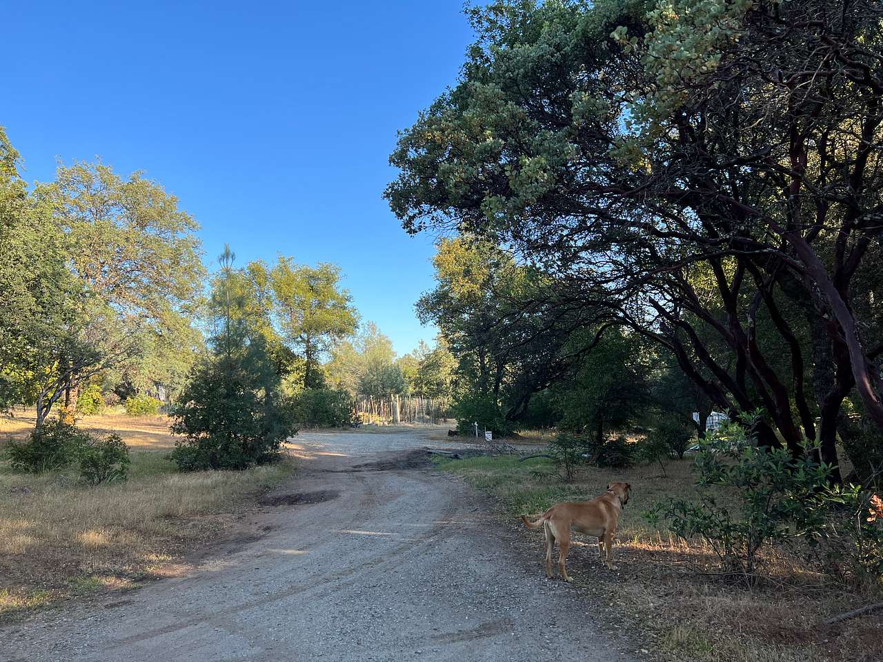 Tranquillity Base Ranch