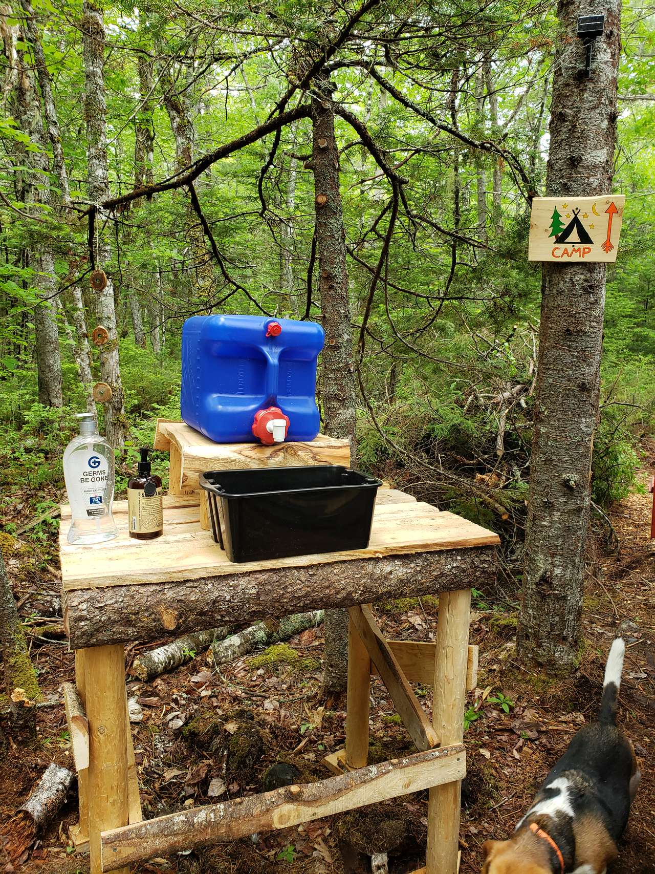 Owl's Hollow Eco-Therapy Glamping