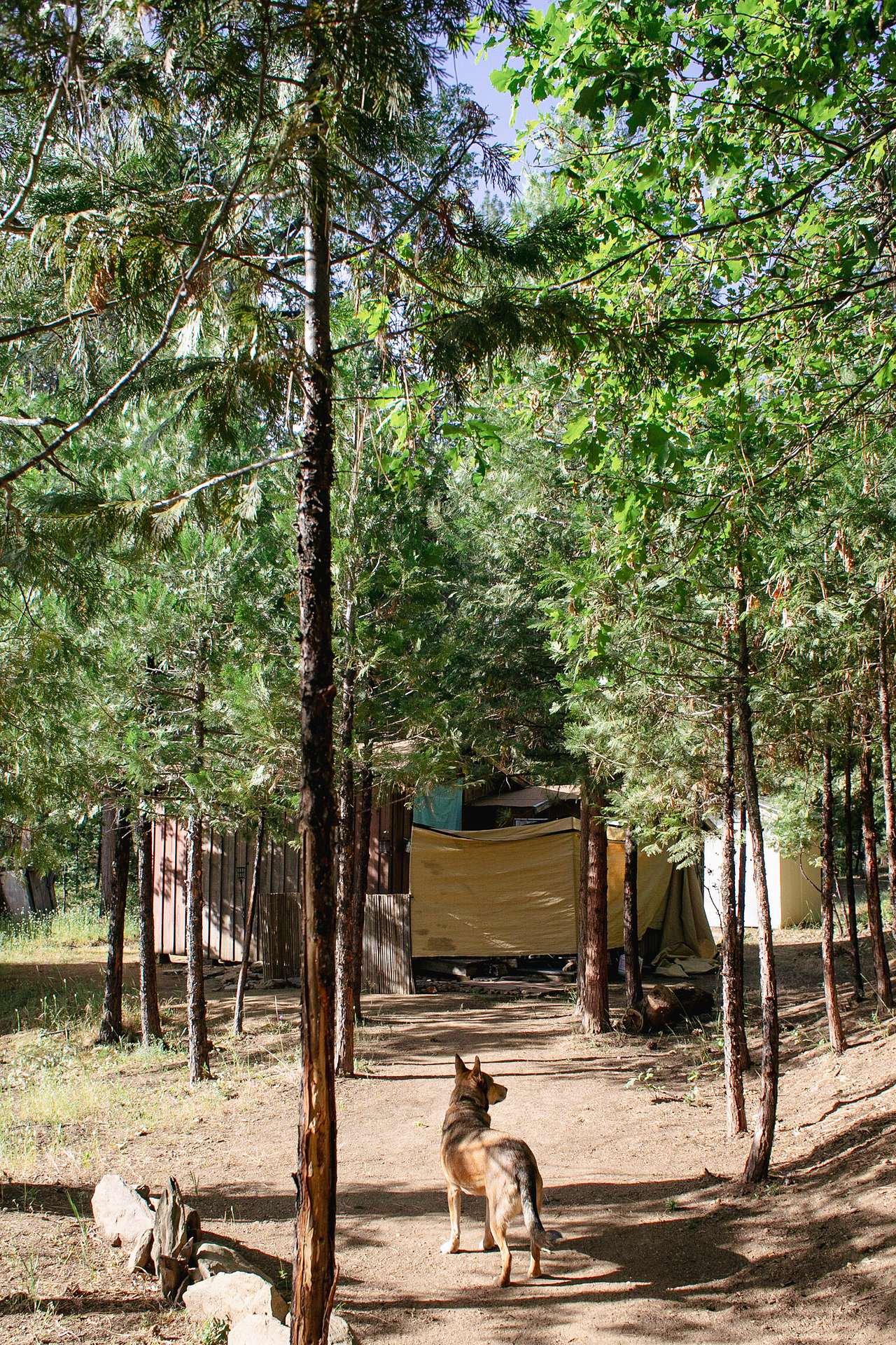Path up to the showers and sink