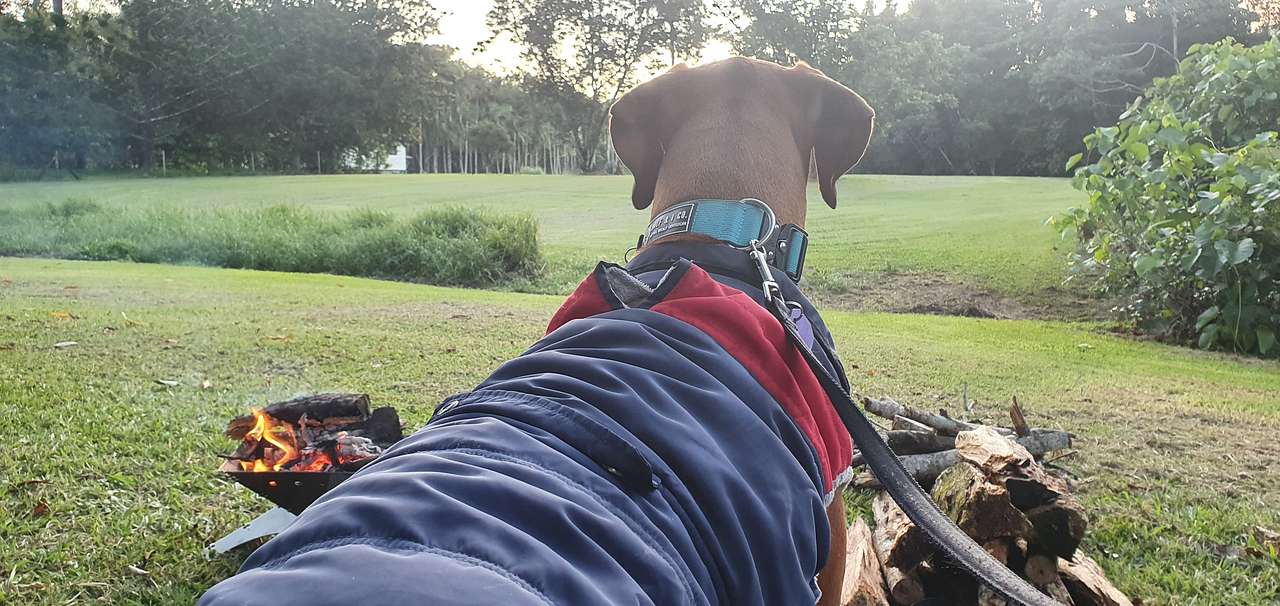 Just my boy enjoying the serenity 