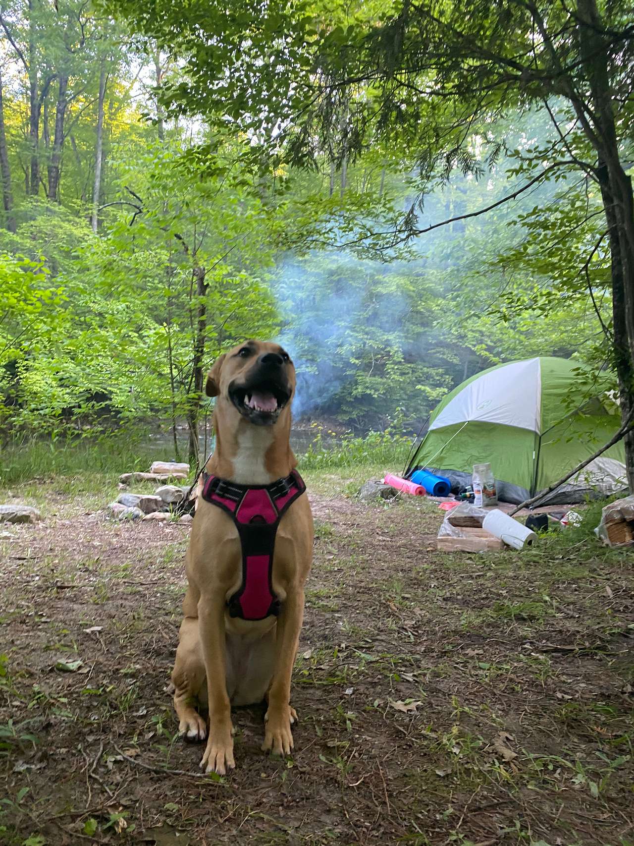 Riverfront Escape at Brookhollow