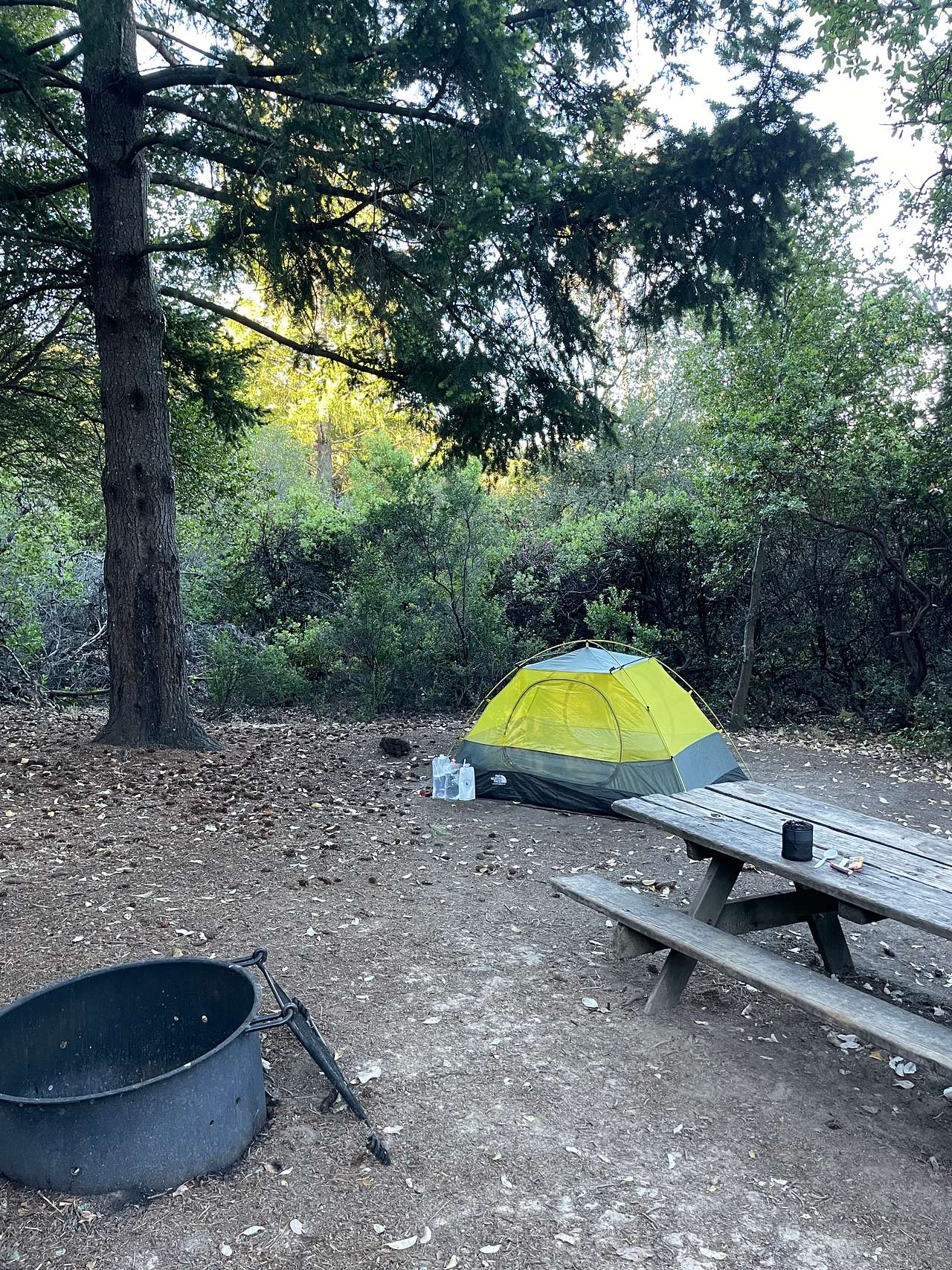 Castle Rock State Park