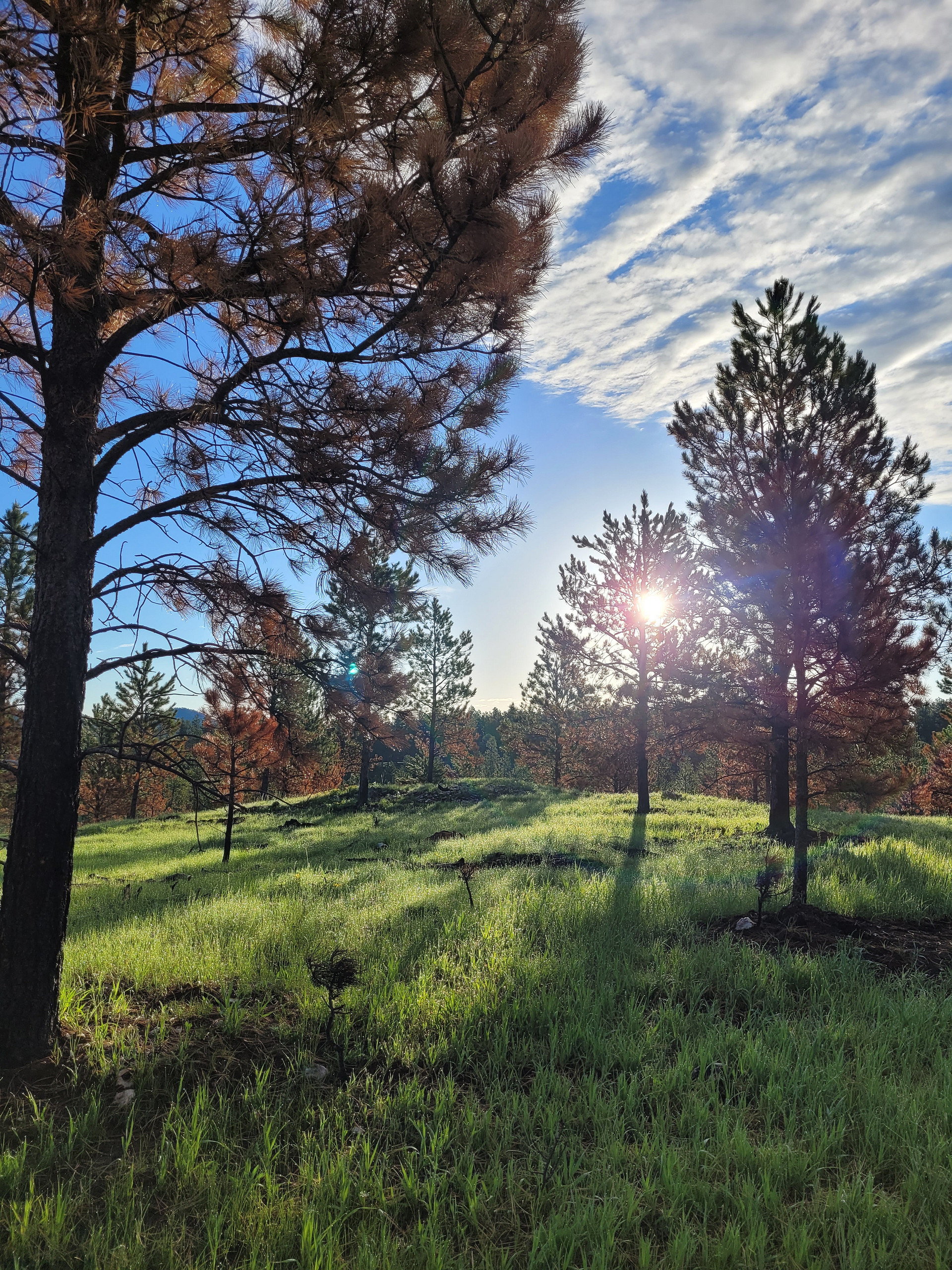 Big Pine Campground