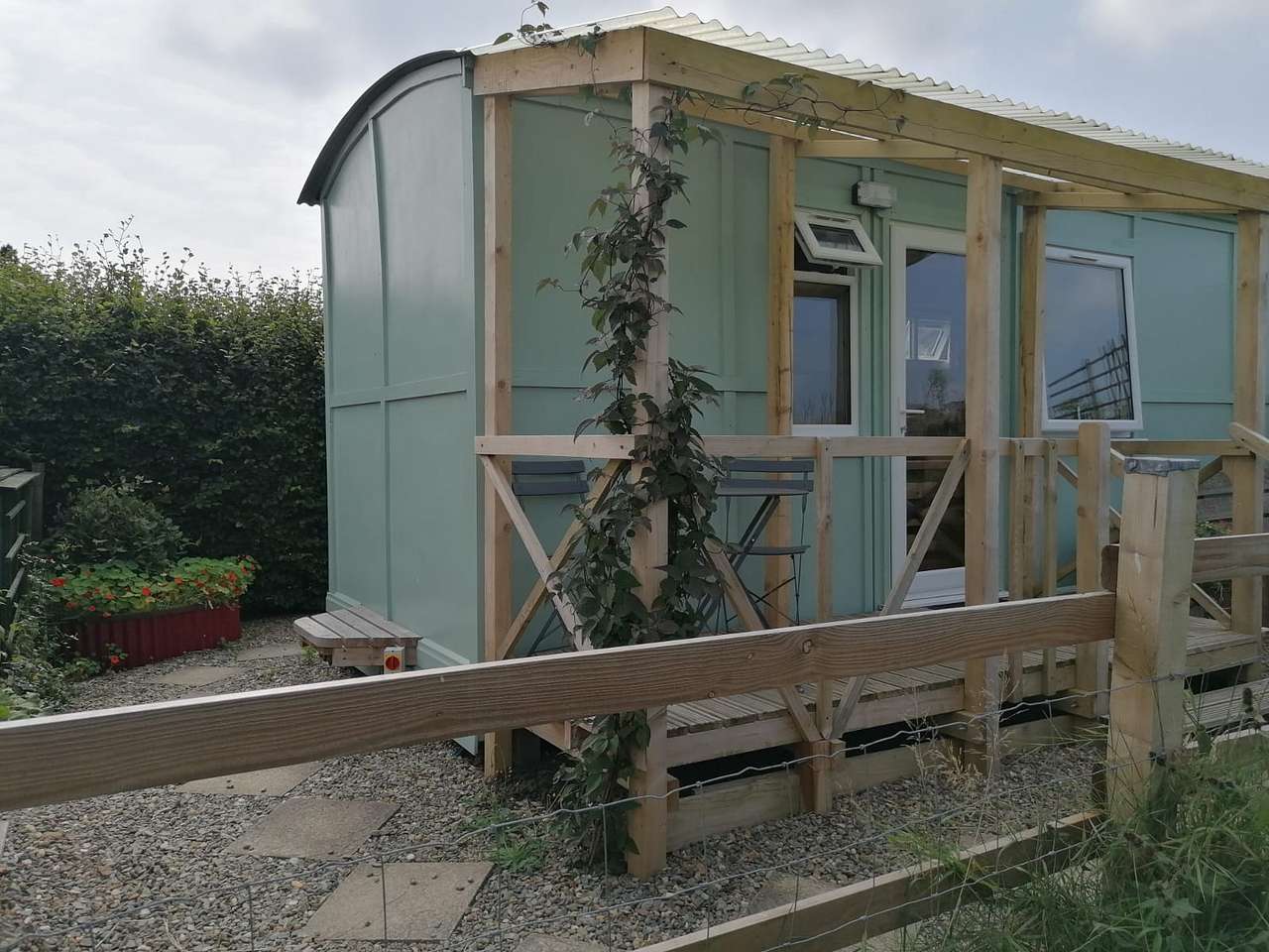 Clematis growing up Skylark Shepherds Hut veranda
