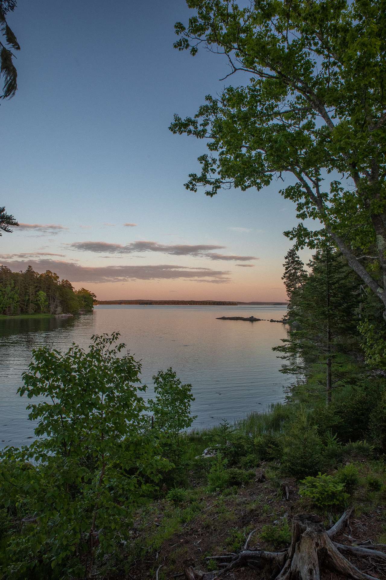 Sunset views