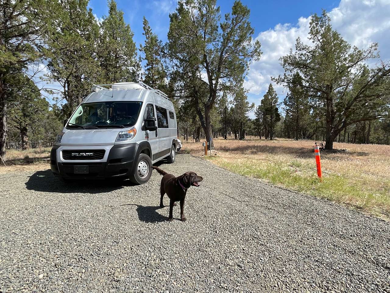 Camp Freedom