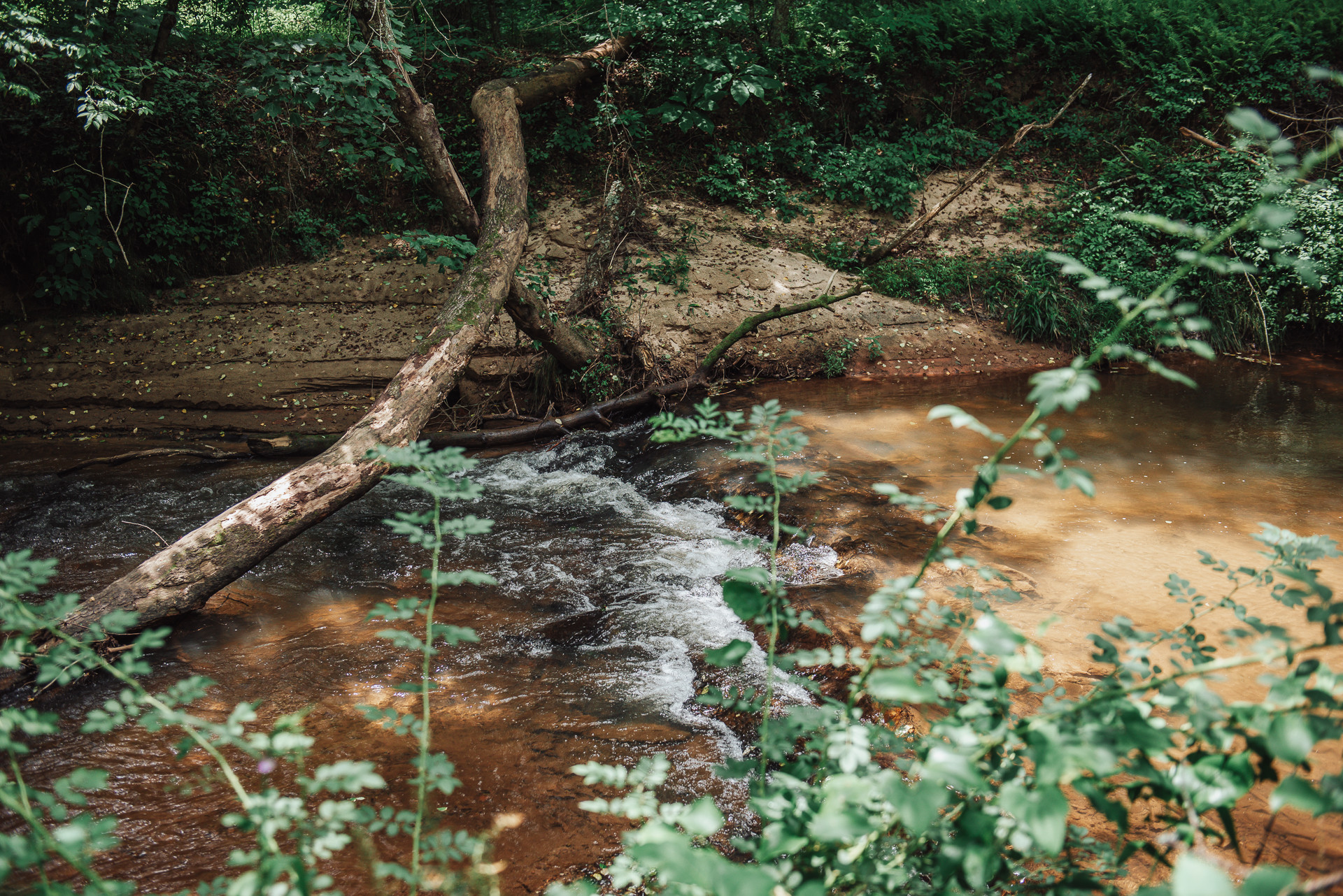 Secluded Mitchel River Camping