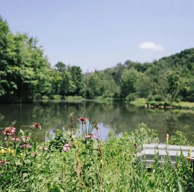 Stonehedge Gardens Holistic Retreat