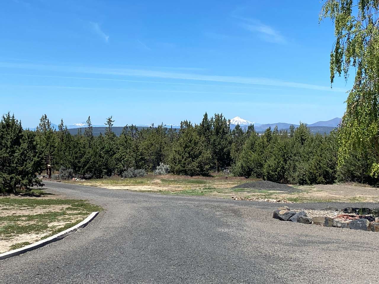 High Desert Juniper