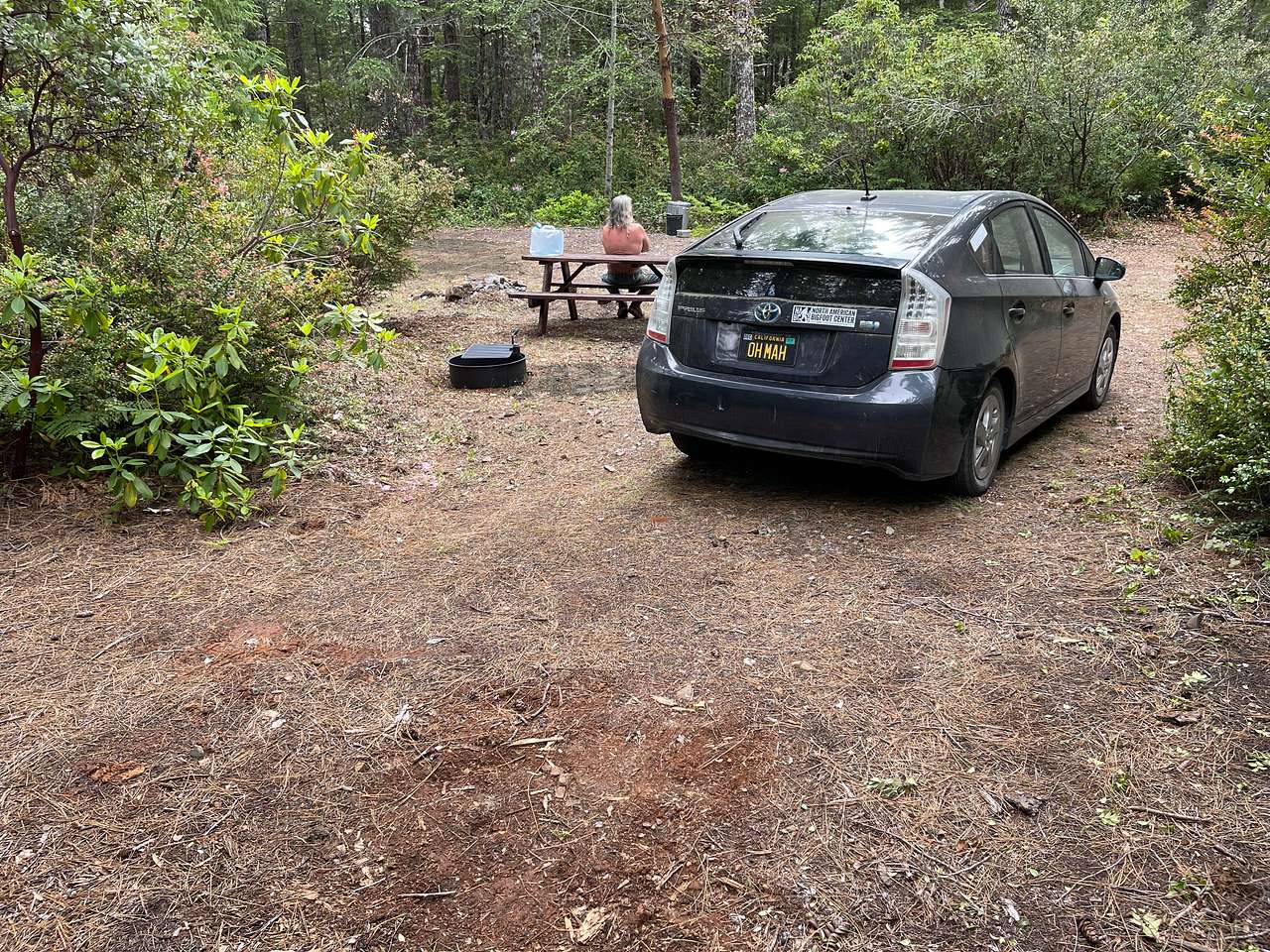 Free Your Mind Camping