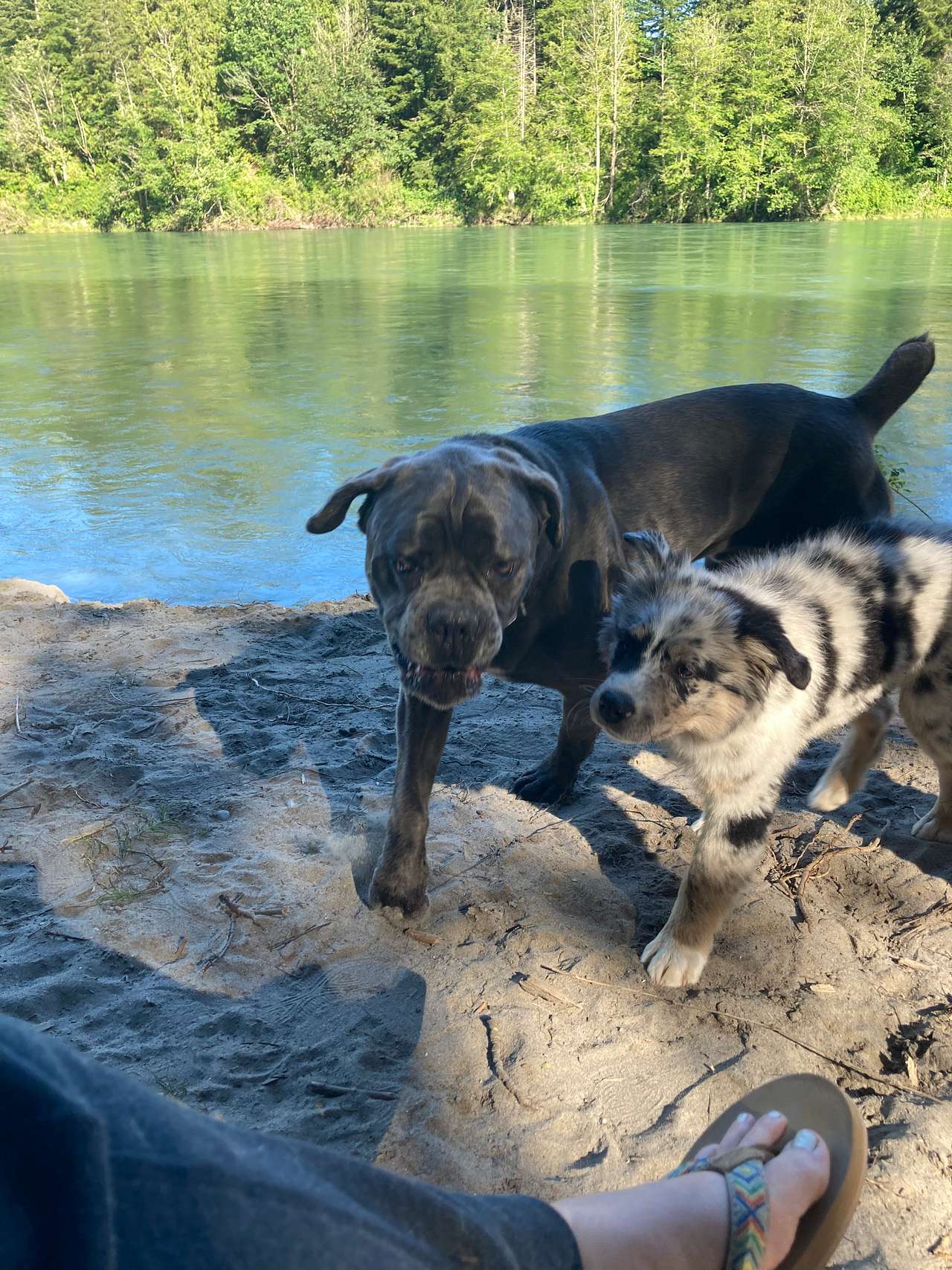 River Rejuvenation Retreat