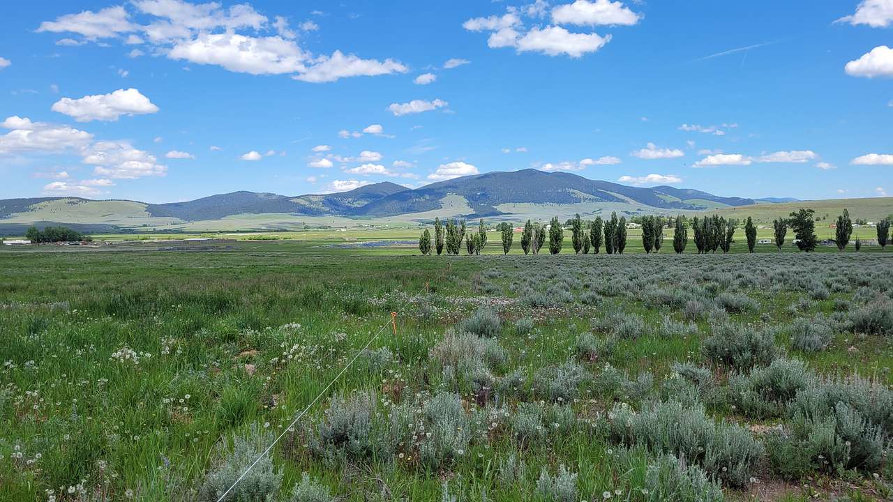 Geary Brothers Ranch