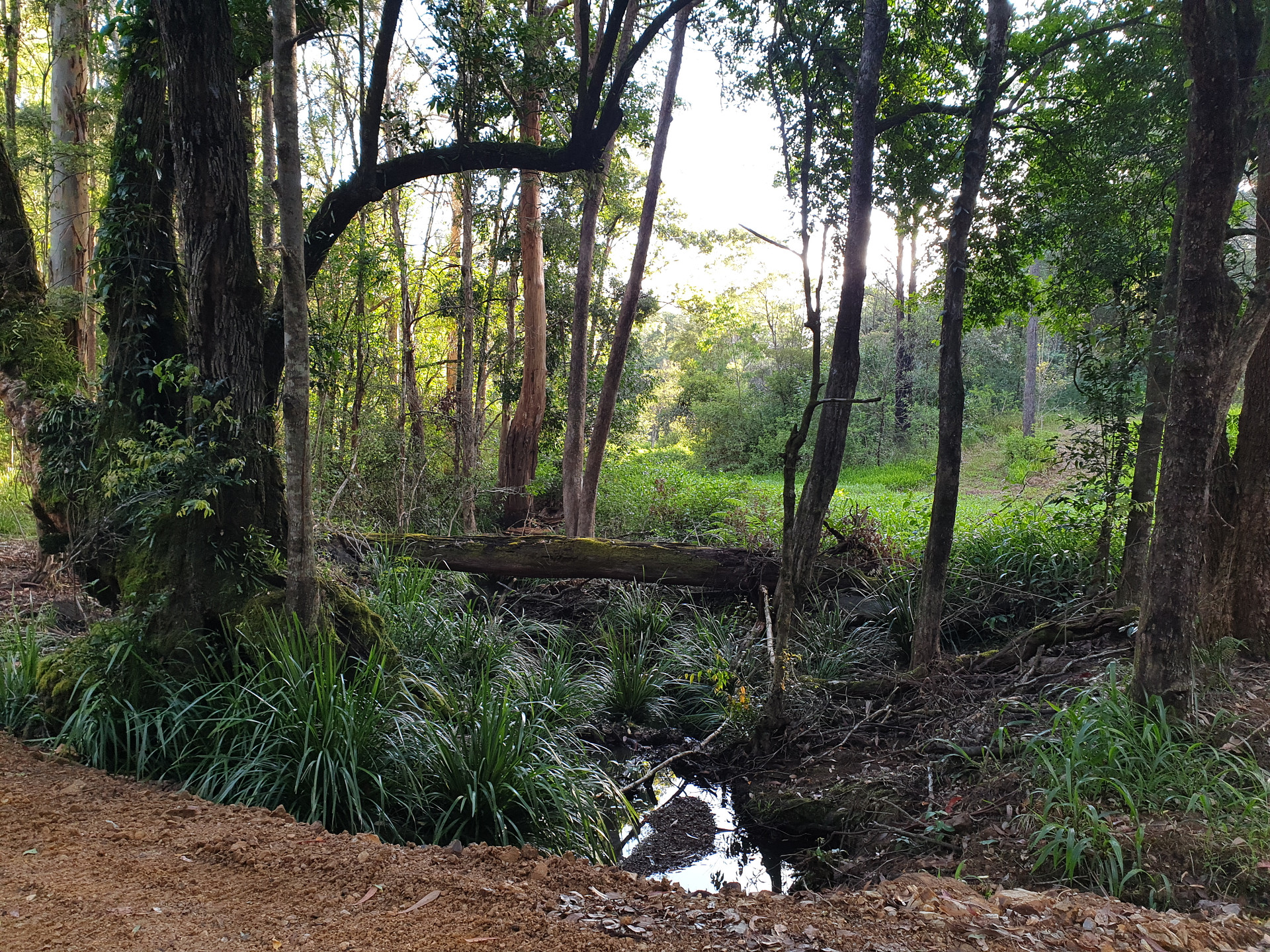Creek Crossing