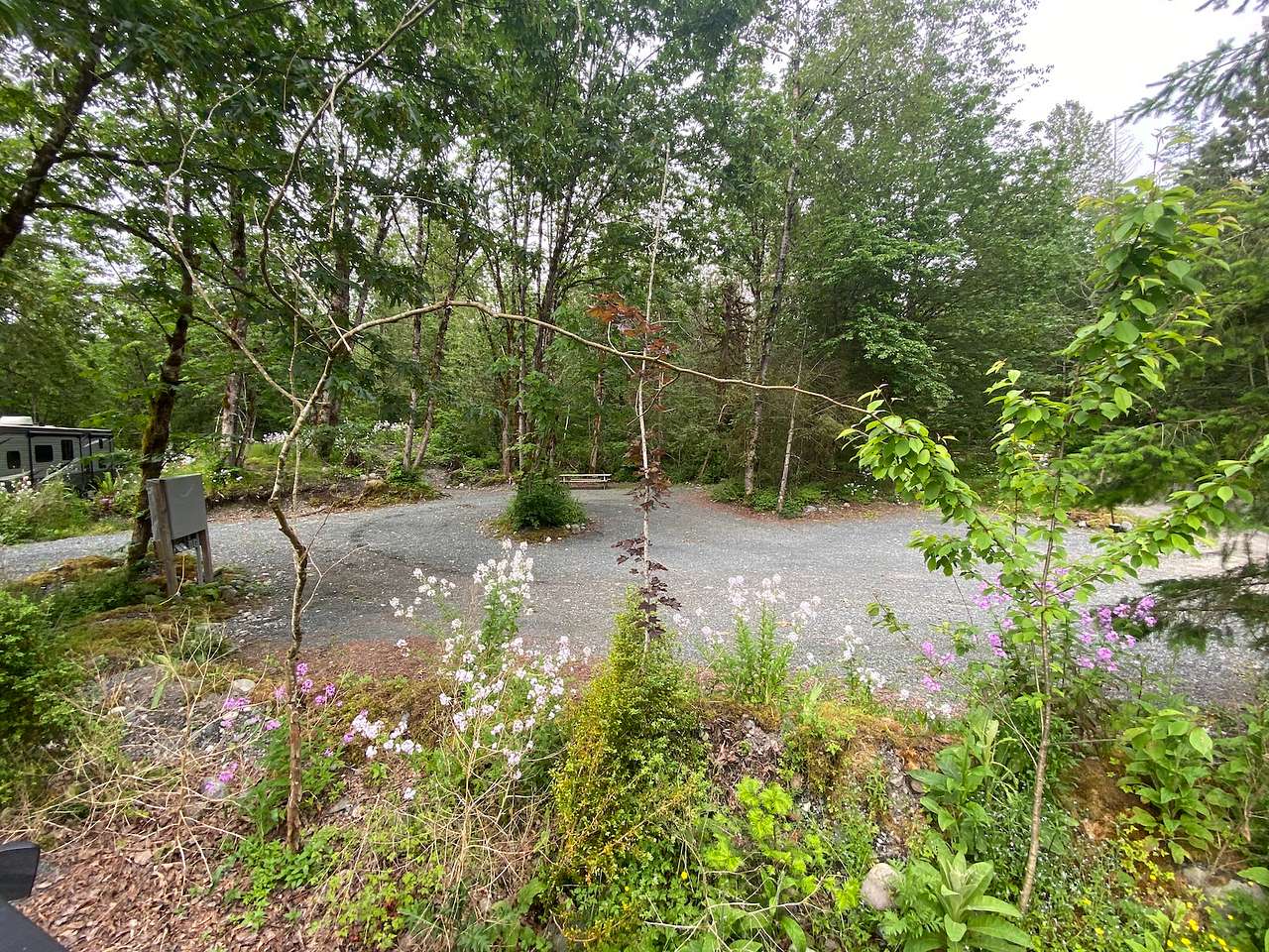 The site