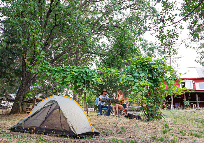 Jackass Hostel