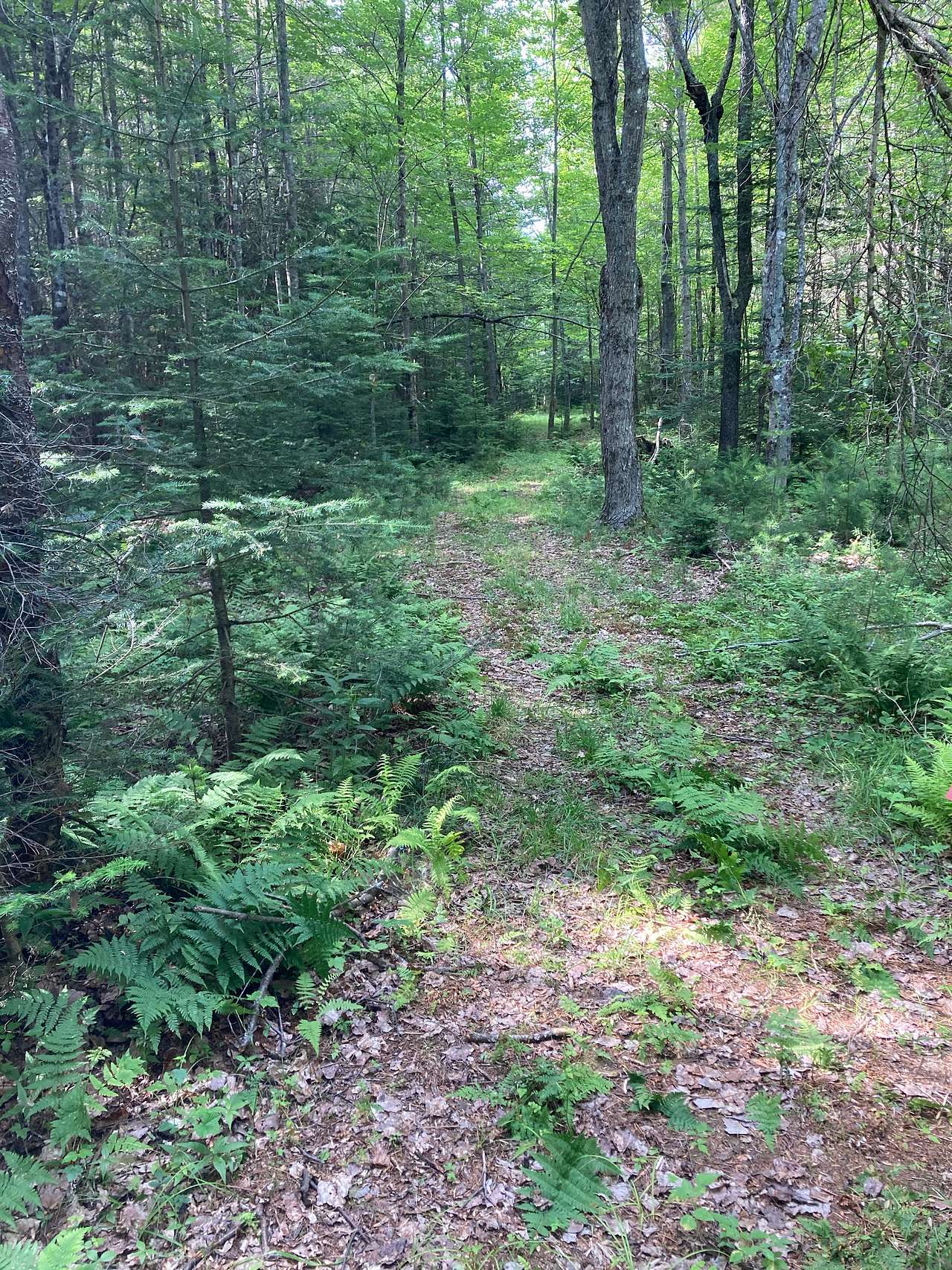 Maine Star Campground
