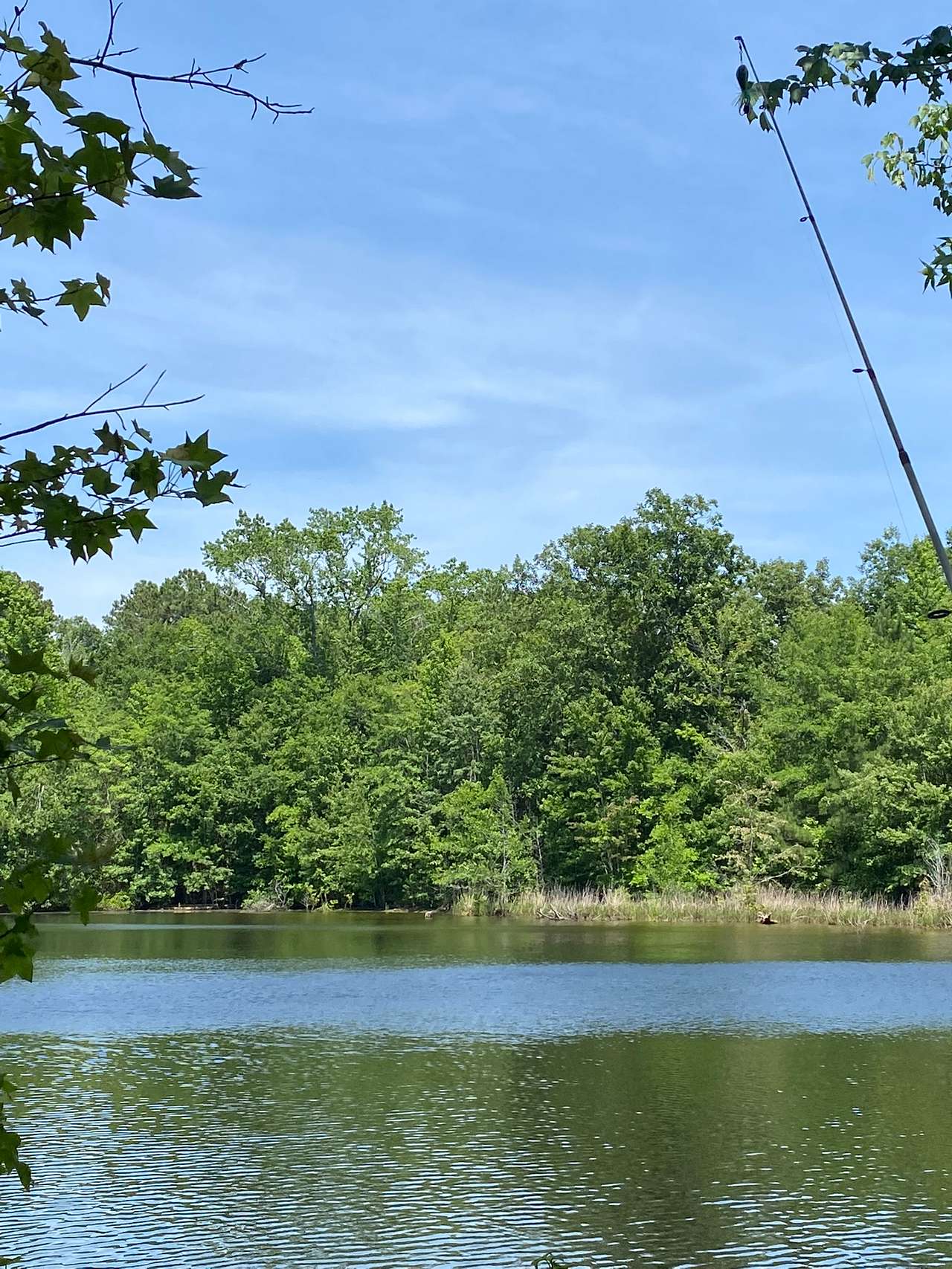 Scott’s Lakeview Camp and Park