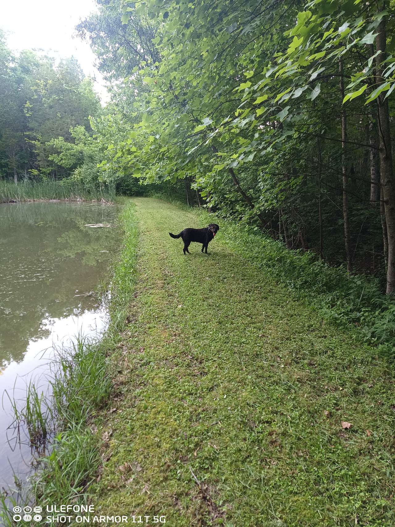Bear Pond