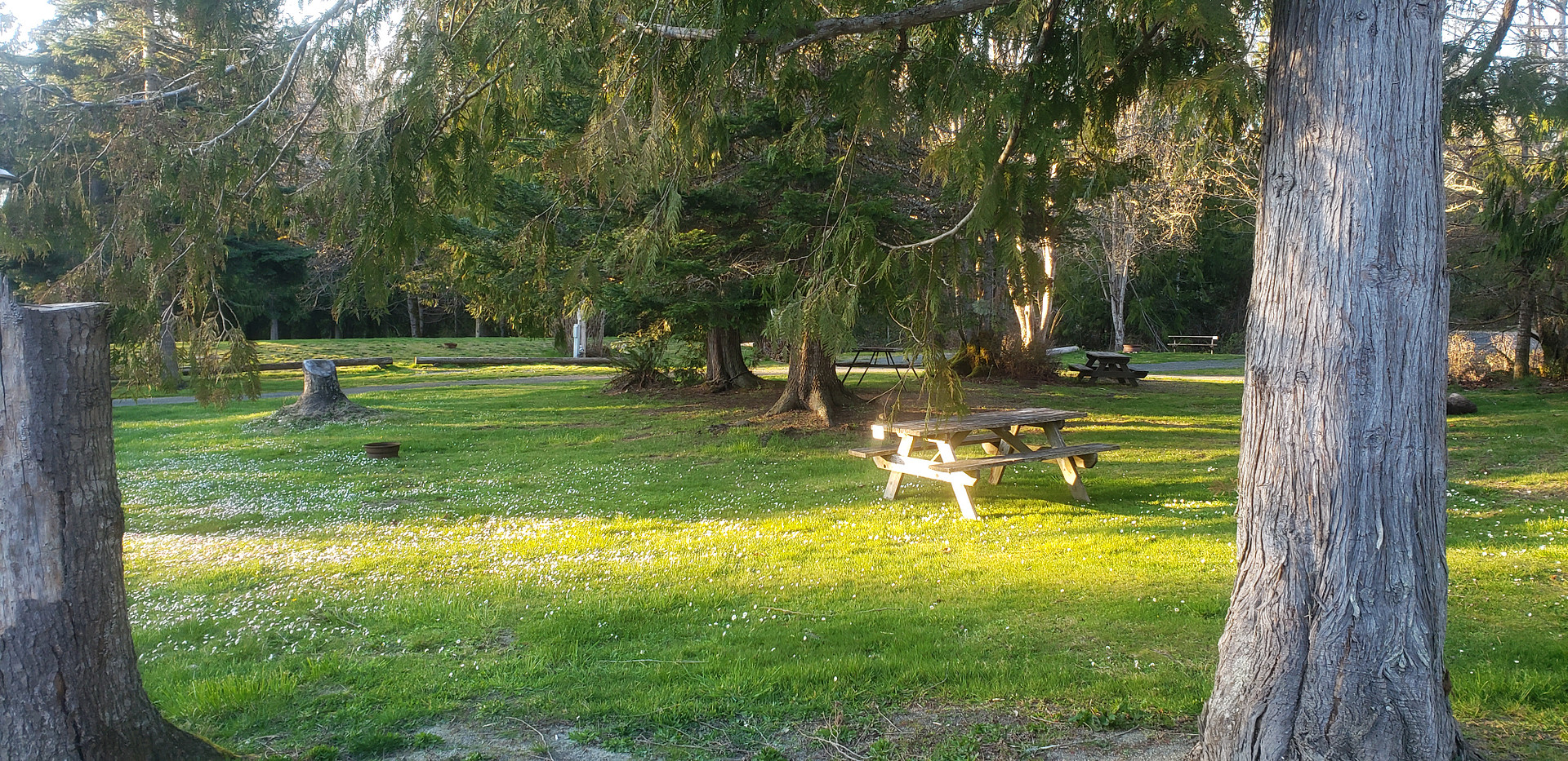 Elwha RV Park