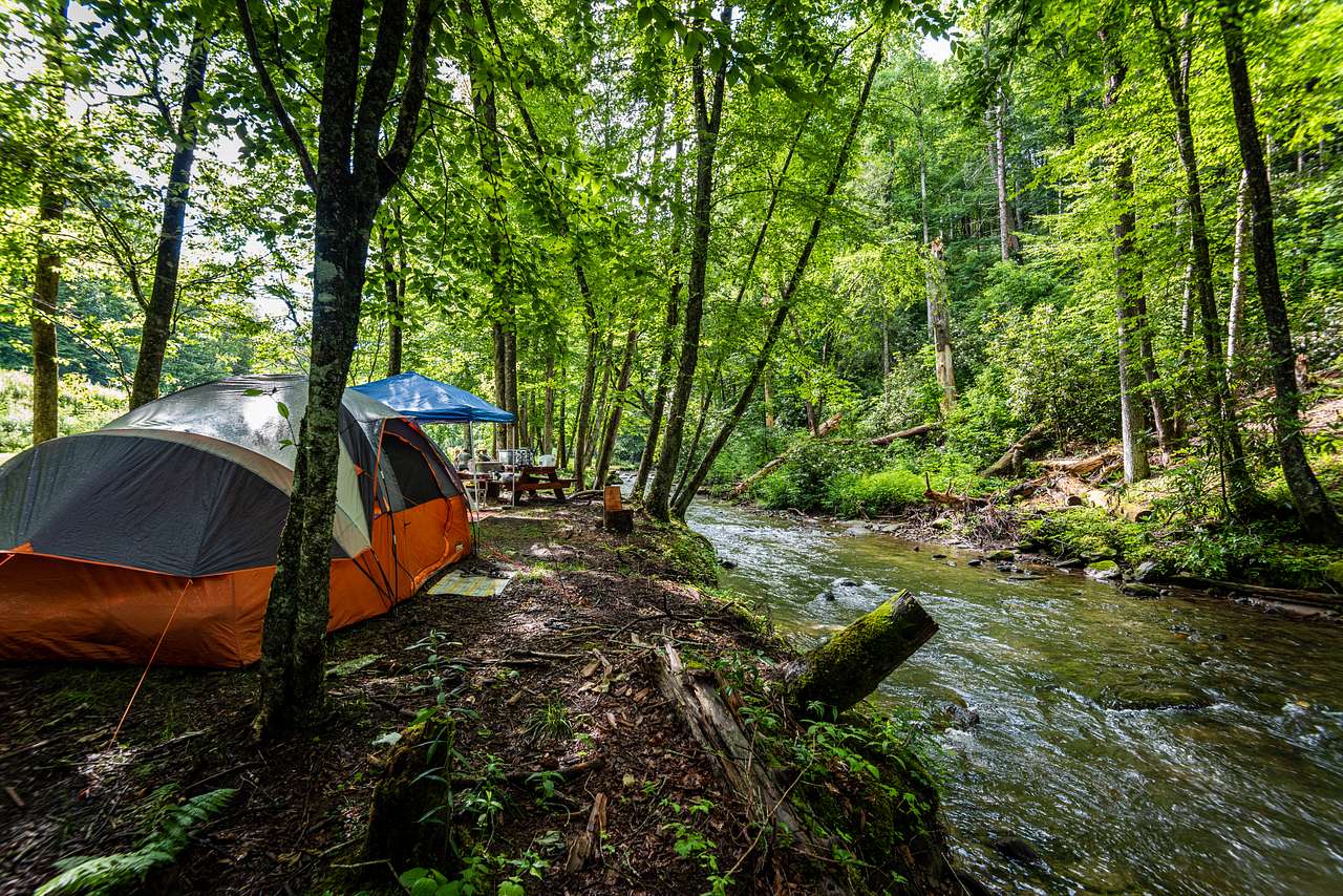 site 3 along the creek