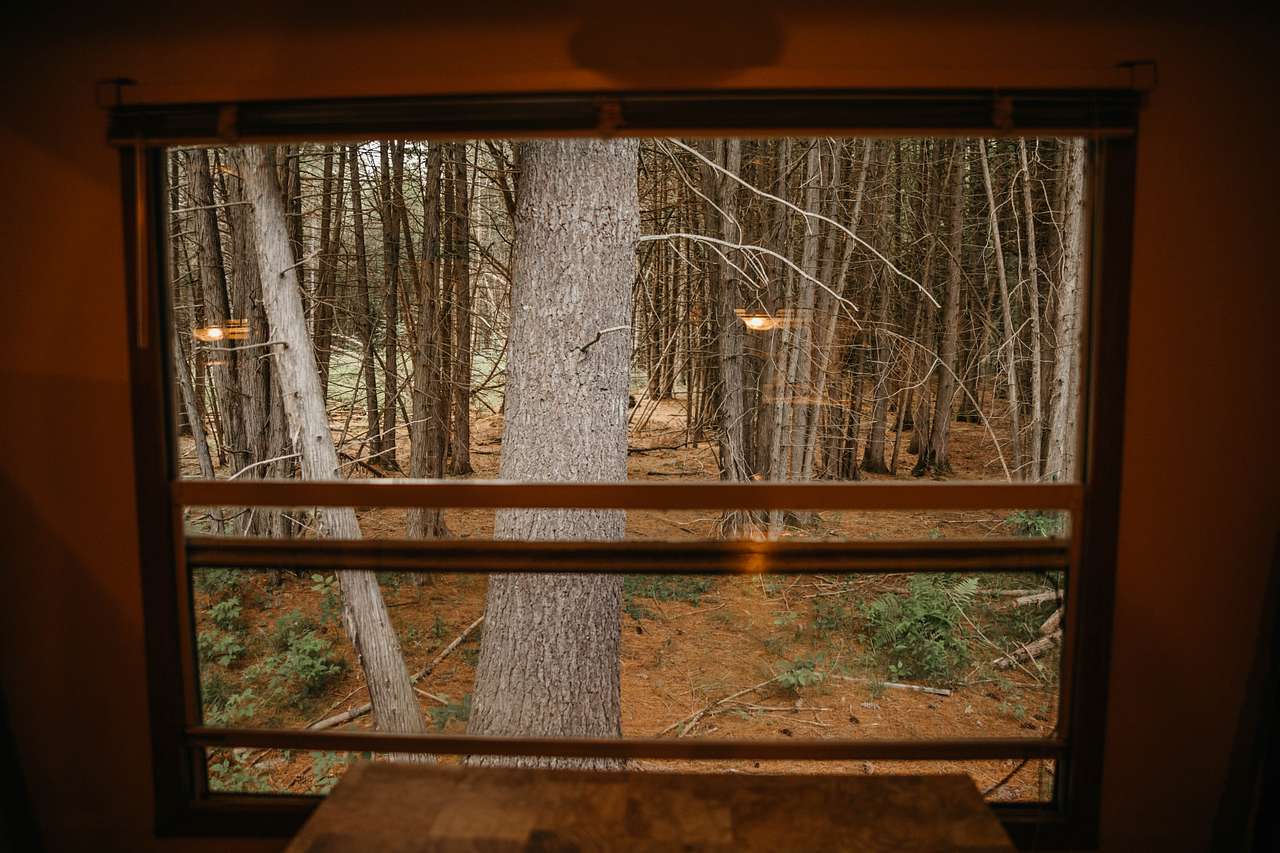 A nice view from the dining table inside. I bet if you're patient enough you'll see an animal!