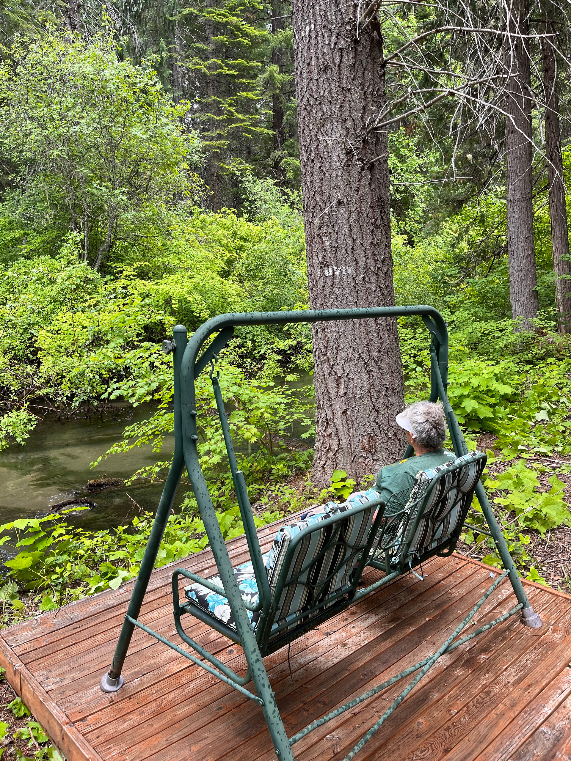 Relaxing by the creek 