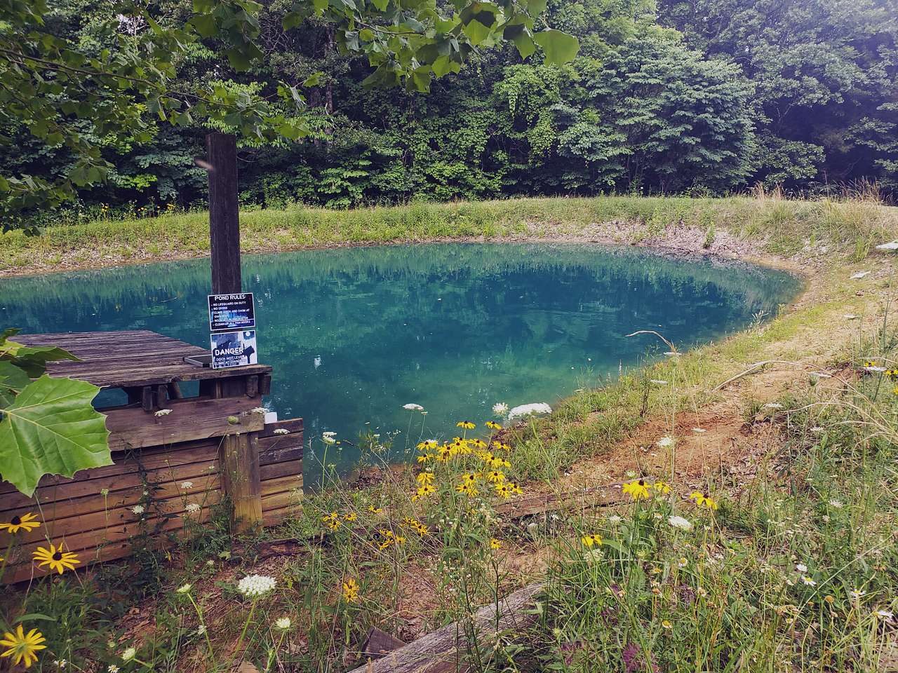 The ponds blue color comes from pond dye, which helps prevent algae and keep the water fresh and ready for swimming